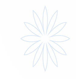 678体育 - 热门赛事投注平台 - 678官网